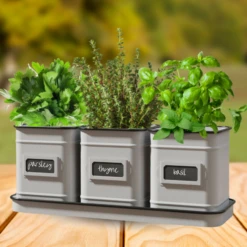 Farmhouse Trio Herb Set