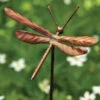 Dragonfly Garden Stakes- Set/4 -The Birdhouse Chick Flamed Dragonfly Garden Stakes