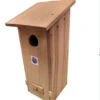 Flicker Nest Box Kit 1 Flicker Nest Box Kit -The Birdhouse Chick Flicker Nest Box Kit