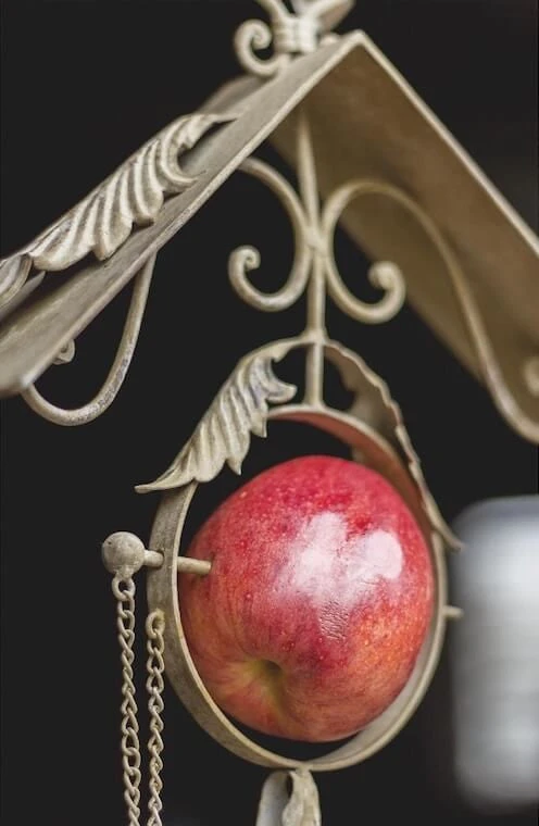 Weathered Scroll Fruit and Suet Bird Feeder โ Vintage Antique Metal Hanging Decor 3 Weathered Scroll Fruit and Suet Bird Feeder โ Vintage Antique Metal Hanging Decor