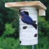 Gilbertson Nest Box - NABS Approved 2 Gilbertson Nest Box - NABS Approved -The Birdhouse Chick GILBERTSON 92558003 474a 4819 8b0d f12a17466274