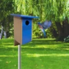 Gilbertson Bluebird Bungalow -The Birdhouse Chick Gilbertson Durable Bluebird Birdhouse