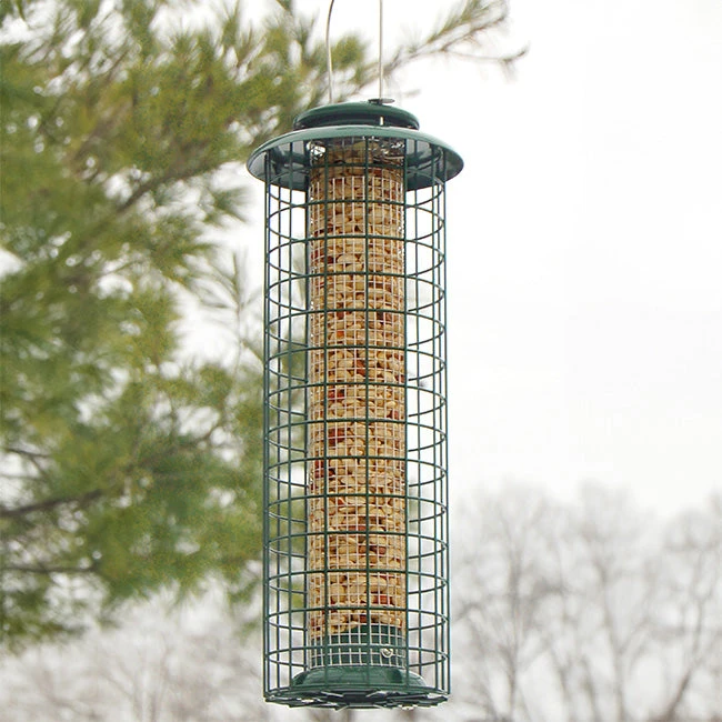 Dark Green Caged Squirrel-Proof Tube Bird Feeder β Locking Metal Roof & Steel Mesh 4 Dark Green Caged Squirrel-Proof Tube Bird Feeder β Locking Metal Roof & Steel Mesh - Image 2