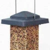 Vista Squirrel Proof Bird Feeder 1 Vista Squirrel Proof Bird Feeder -The Birdhouse Chick HF75160