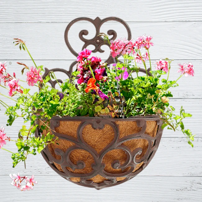 Half-Round Cast Iron Garden Wall Planter 5 Half-Round Cast Iron Garden Wall Planter - Image 3