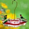High-View Square Hummingbird Feeder 2 High-View Square Hummingbird Feeder -The Birdhouse Chick High View Square Hummingbird Feeder