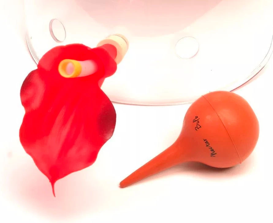 HummViewer Ultimate Hummingbird Feeder Mask β As Seen on Shark Tank Immersive Bird Watching Gear 9 HummViewer Ultimate Hummingbird Feeder Mask β As Seen on Shark Tank Immersive Bird Watching Gear - Image 7