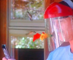 HummViewer Ultimate Hummingbird Feeder Mask β As Seen on Shark Tank Immersive Bird Watching Gear 13 HummViewer Ultimate Hummingbird Feeder Mask β As Seen on Shark Tank Immersive Bird Watching Gear -The Birdhouse Chick Humm Viewer Feeder In Use