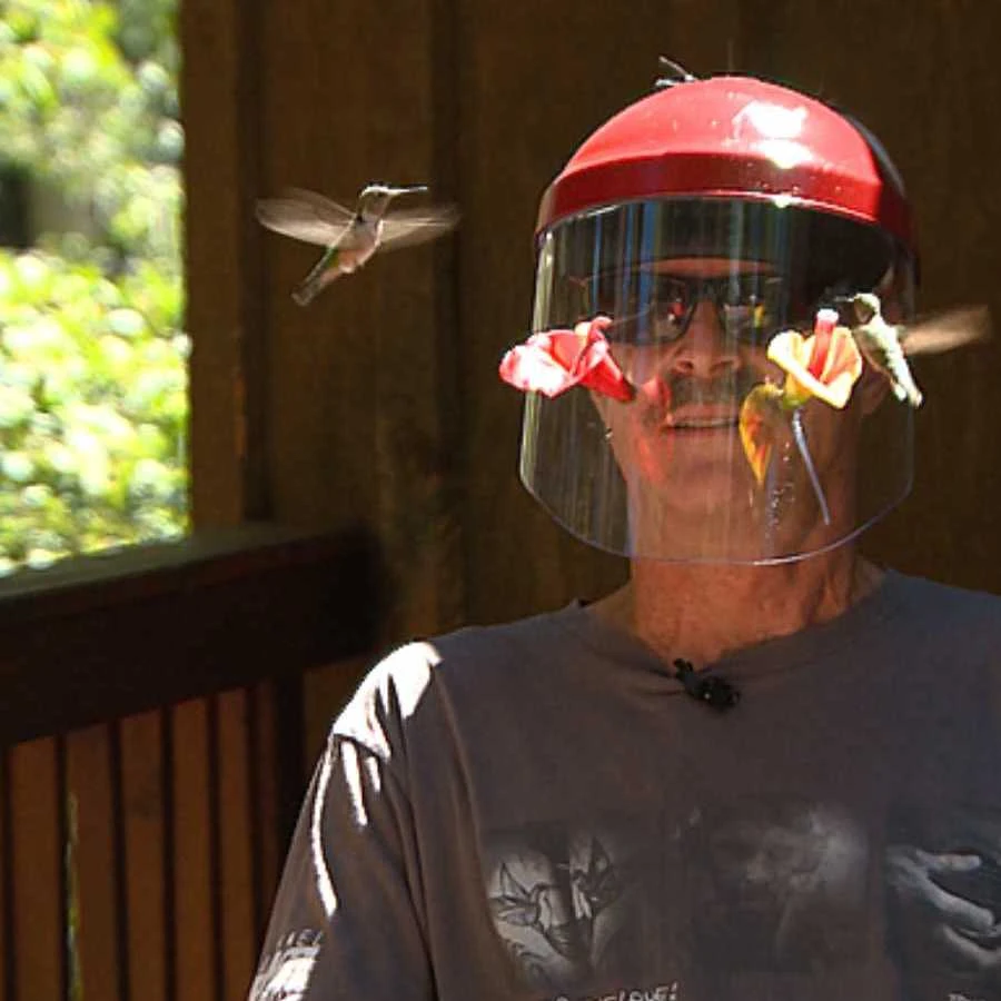 HummViewer Ultimate Hummingbird Feeder Mask β As Seen on Shark Tank Immersive Bird Watching Gear 4 HummViewer Ultimate Hummingbird Feeder Mask β As Seen on Shark Tank Immersive Bird Watching Gear - Image 2