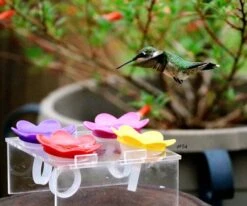 Hummer Ring Kit 13 Hummer Ring Kit -The Birdhouse Chick Hummer Ring Training Stand 0558d8e9 635f 4722 a384 e492227bd702