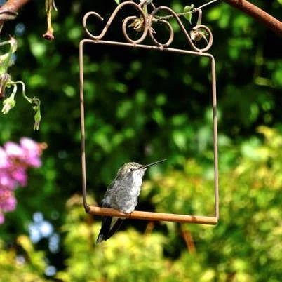 Pop's Hummingbird Swing - Black Powder-Coated Metal with Walnut-Stained Birch Perch - Antique Style Territorial Bird Perch 3 Pop's Hummingbird Swing - Black Powder-Coated Metal with Walnut-Stained Birch Perch - Antique Style Territorial Bird Perch