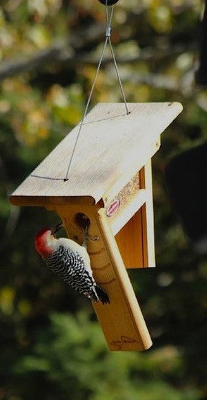 Clinger Woodpecker And Peanut Feeder 4 Clinger Woodpecker And Peanut Feeder - Image 2