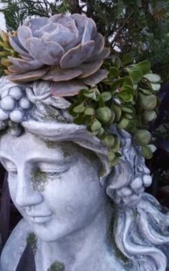 Large Lady Head Planter -The Birdhouse Chick Lady Head Planter Side 2 Detail