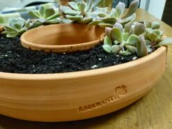 Handcrafted Terra Cotta Living Wreath Planter – 9 Inch Natural Round Wall & Table Succulent Decor -The Birdhouse Chick Living Wreath Side View