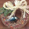 Gourmet Pecan And Fruit Wreath 1 Gourmet Pecan And Fruit Wreath -The Birdhouse Chick MB132 3e61039a de6a 4656 a9d8 30bc5e0ef5c8
