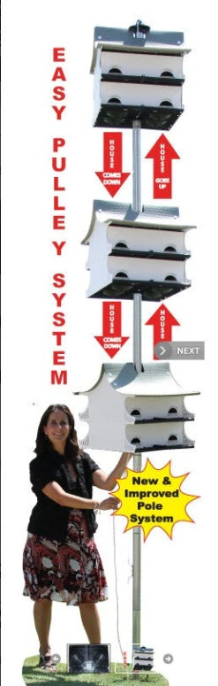 10 Family Martin House - Starling Resistant -The Birdhouse Chick Martin house slides on pole