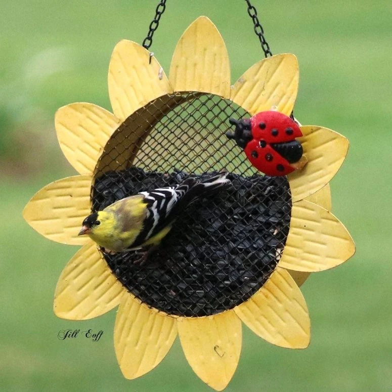 Sunflower Ladybug Multi-Use Mesh Bird Feeder β Decorative Metal Hanging Feeder for Seed, Fruit, and Peanuts 3 Sunflower Ladybug Multi-Use Mesh Bird Feeder β Decorative Metal Hanging Feeder for Seed, Fruit, and Peanuts