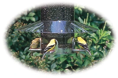 Weather Guard For Classic Bird Feeders 3 Weather Guard For Classic Bird Feeders