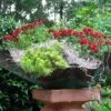 Patina Copper Planter Or Birdbath -The Birdhouse Chick Patina Copper Planter or Bird Bath