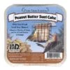 Peanut Butter Bliss Suet Cakes, 12 Oz. 1 Peanut Butter Bliss Suet Cakes, 12 Oz. -The Birdhouse Chick PeanutButterBlissSuetCakes