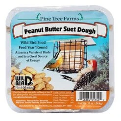 Peanut Butter Suet Dough Delight, 12 Oz.
