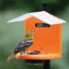 Recycled Pole Mount Oriole Feeder With Roof -The Birdhouse Chick Pole Mount Oriole Feeder with Roof