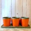 Poppy Triple Herb Planters- Detached Tray 1 Poppy Triple Herb Planters- Detached Tray -The Birdhouse Chick Poppy Triple Herb Planters