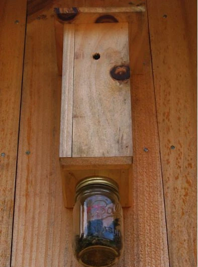 Carpenter Bee Trap 3 Carpenter Bee Trap