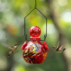 Solar Hummingbird Feeder - 16oz