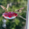 Window Mount Hummingbird Feeder