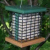 Eco-Friendly Recycled Poly Lumber Double Suet Bird Feeder – USA Made Hanging Bird Station 2 Eco-Friendly Recycled Poly Lumber Double Suet Bird Feeder – USA Made Hanging Bird Station -The Birdhouse Chick SE525