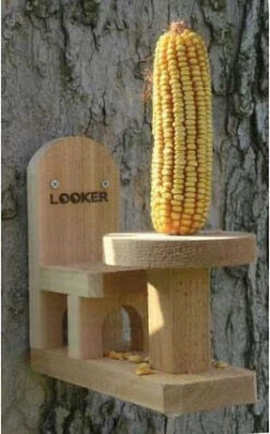 Table And Chair Squirrel Feeder-2