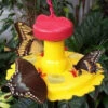 Butterfly Feeder With Nectar - Hang Or Pole Mount -The Birdhouse Chick SE78215new