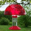 Dr. JB's Clean Hummingbird Feeder & Hummer Helmet 1 Dr. JB's Clean Hummingbird Feeder & Hummer Helmet -The Birdhouse Chick SESQ83R 0f383c47 059e 4214 ba45 ee575659f256