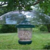 Large Hanging Squirrel Baffle -The Birdhouse Chick SESQ84
