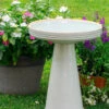 Simple Elegance Pedestal Bird Bath- 4 Colors -The Birdhouse Chick Simple Elegance Birdbath White