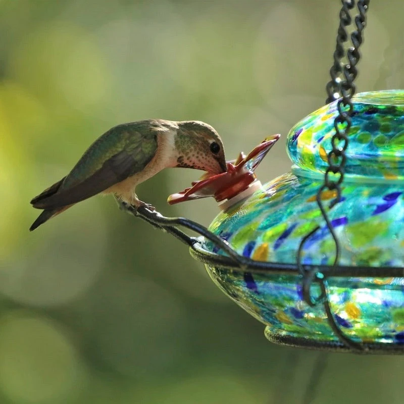 Solar Glass Hummingbird Feeder With Perch 7 Solar Glass Hummingbird Feeder With Perch - Image 5