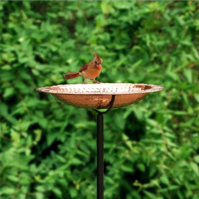 Solid Copper Staked Bird Bath- 2 Sizes 3 Solid Copper Staked Bird Bath- 2 Sizes
