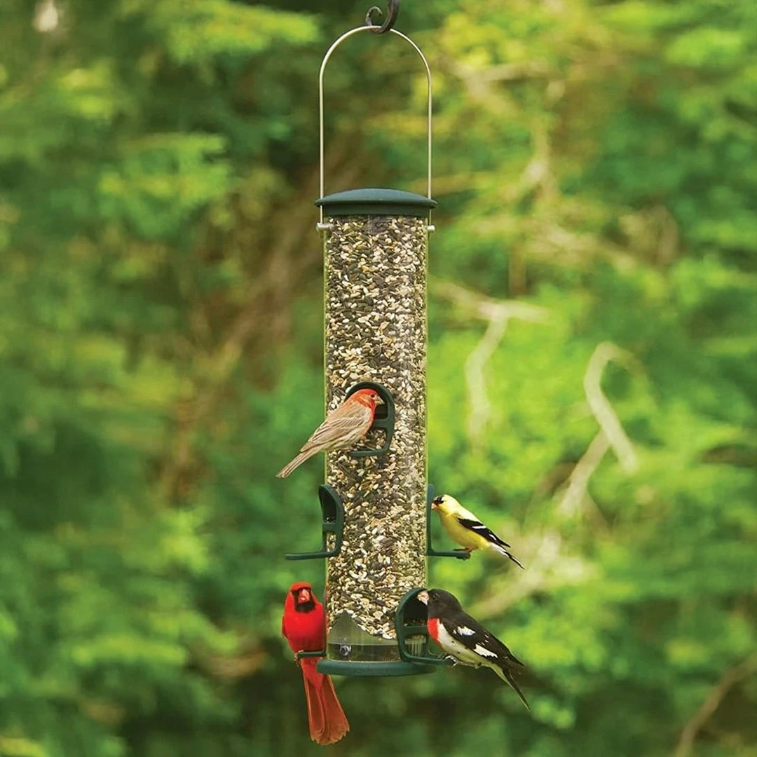 Spruce Big Tube Wild Bird Feeder By Aspects 6 Spruce Big Tube Wild Bird Feeder By Aspects - Image 4