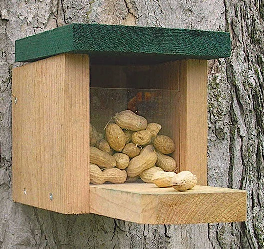 Squirrel Feeder Munch Box 2 Squirrel Feeder Munch Box
