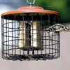 Squirrel Proof Double Suet Feeder