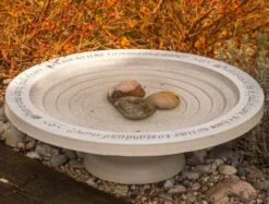 Large Step-In Bird Bath 7 Large Step-In Bird Bath -The Birdhouse Chick Stone Birdbath with Steps