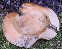 Hand-Carved Reclaimed Teak Wood Bowl β Natural Root Organic Decorative Accent 19 Hand-Carved Reclaimed Teak Wood Bowl β Natural Root Organic Decorative Accent -The Birdhouse Chick Teak Bowl C