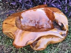 Hand-Carved Reclaimed Teak Wood Bowl β Natural Root Organic Decorative Accent 23 Hand-Carved Reclaimed Teak Wood Bowl β Natural Root Organic Decorative Accent -The Birdhouse Chick Teak Bowl H