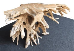 Teak Root Console Table -The Birdhouse Chick Teak Root Console Table 50 inch