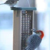 Three In One Suet Bird Feeder