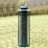 Green Tube Caged Feeder