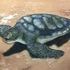 Sea Turtle Ceramic Tile 1 Sea Turtle Ceramic Tile -The Birdhouse Chick Turtle Ceramic Tile