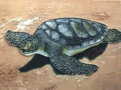 Sea Turtle Ceramic Tile