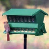 Twice The Treats Bird Feeder With Pole & Hanger 1 Twice The Treats Bird Feeder With Pole & Hanger -The Birdhouse Chick Twice the Treats Bird Feeder with Pole Hanger